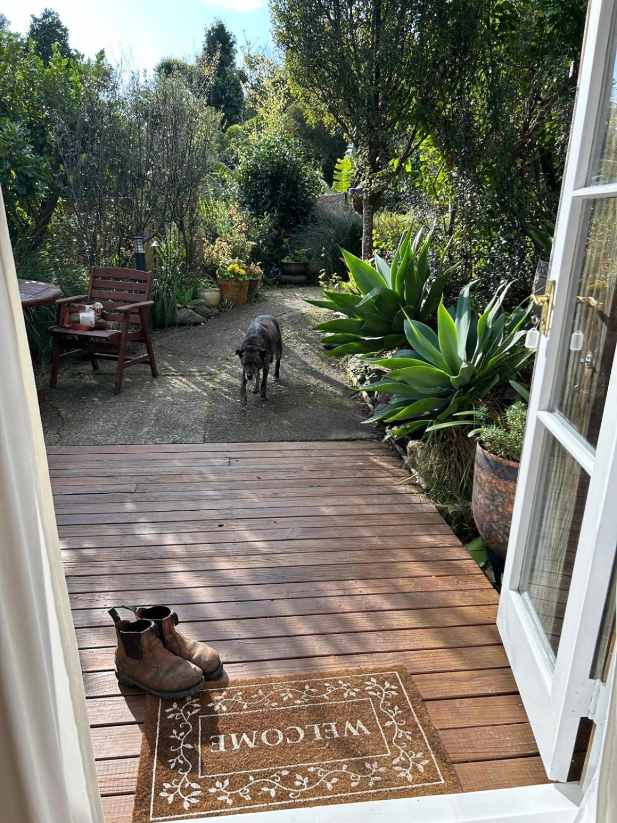 The Studio Apartment Coromandel Exterior photo
